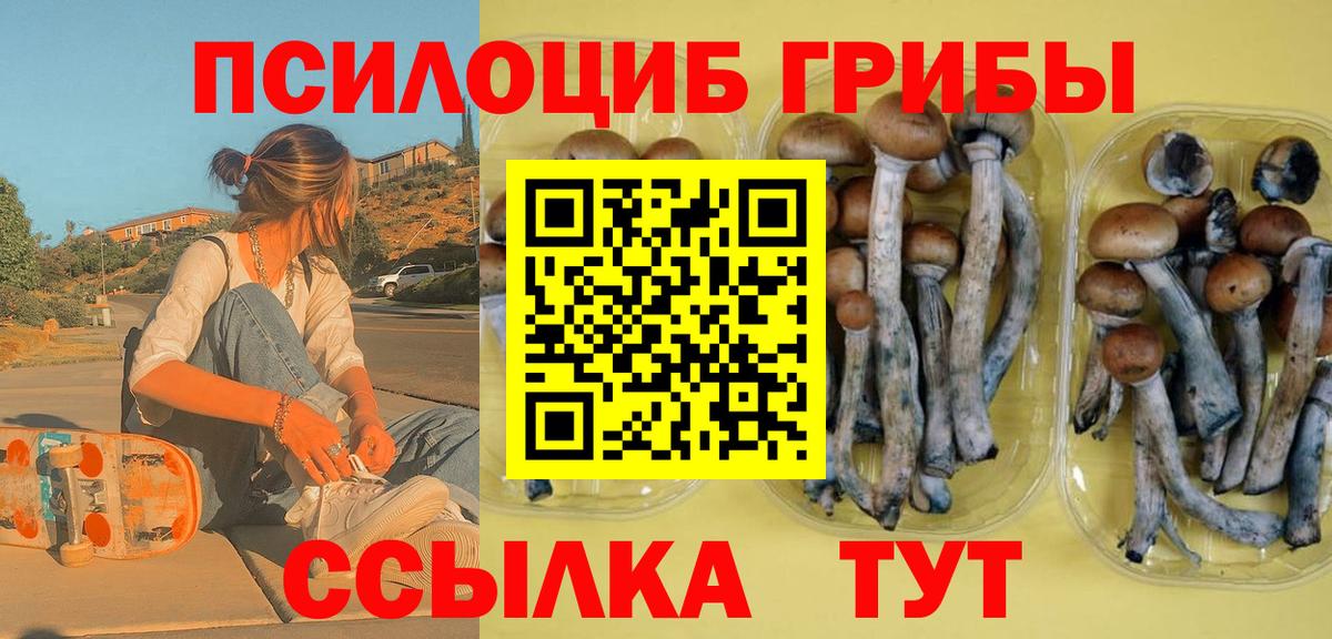 Псилоцибиновые грибы Psilocybine cubensis Серпухов